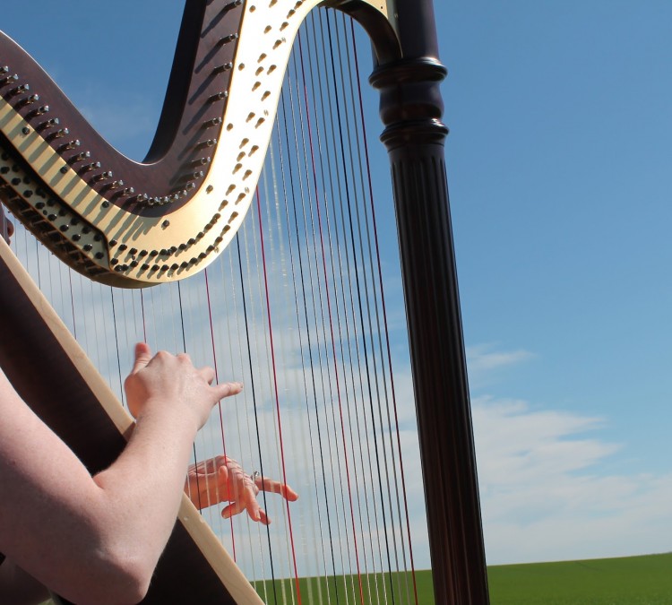 garcia-music-studio-harp-lessons-photo